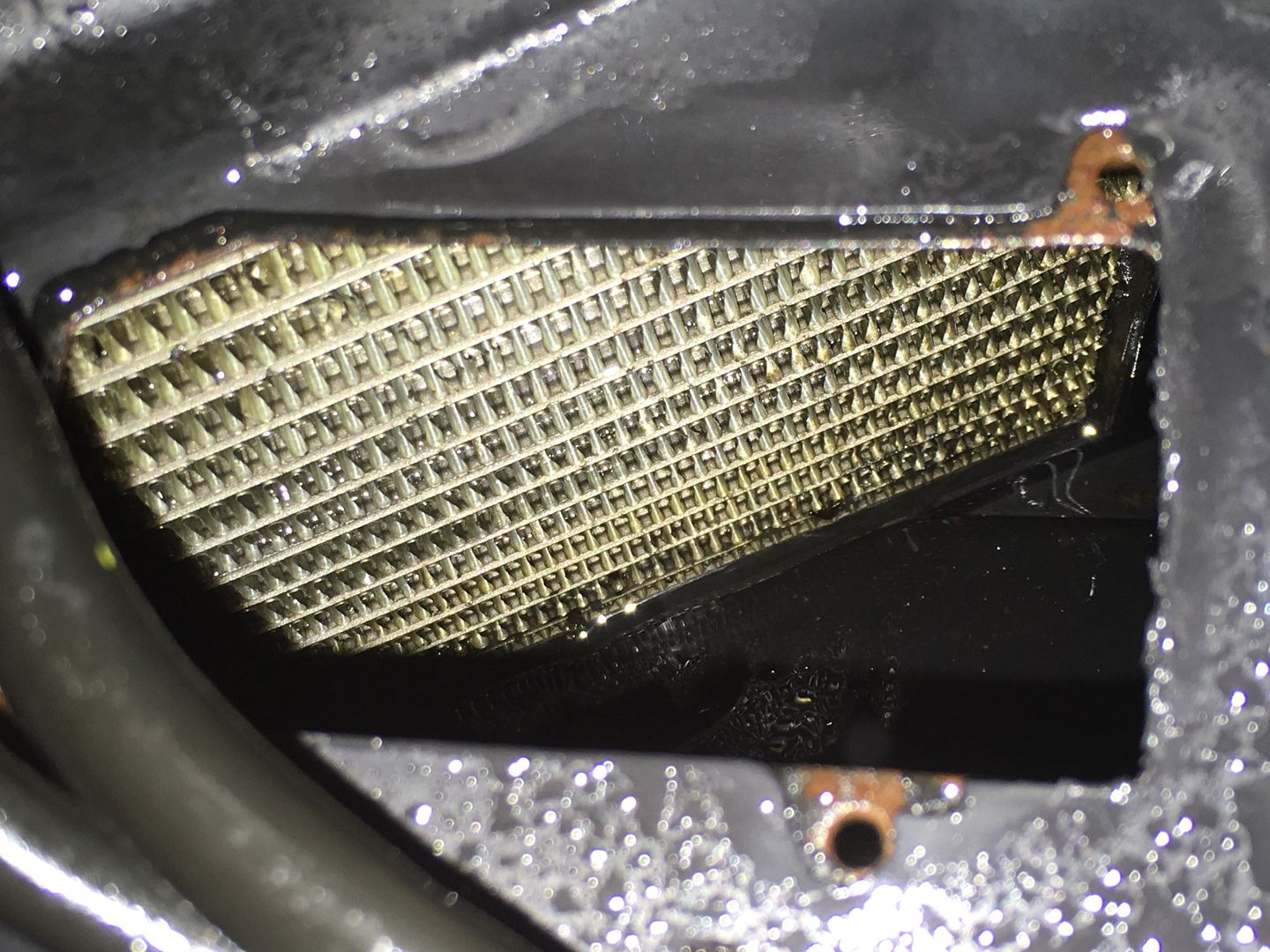 Evaporator Core Cleaning